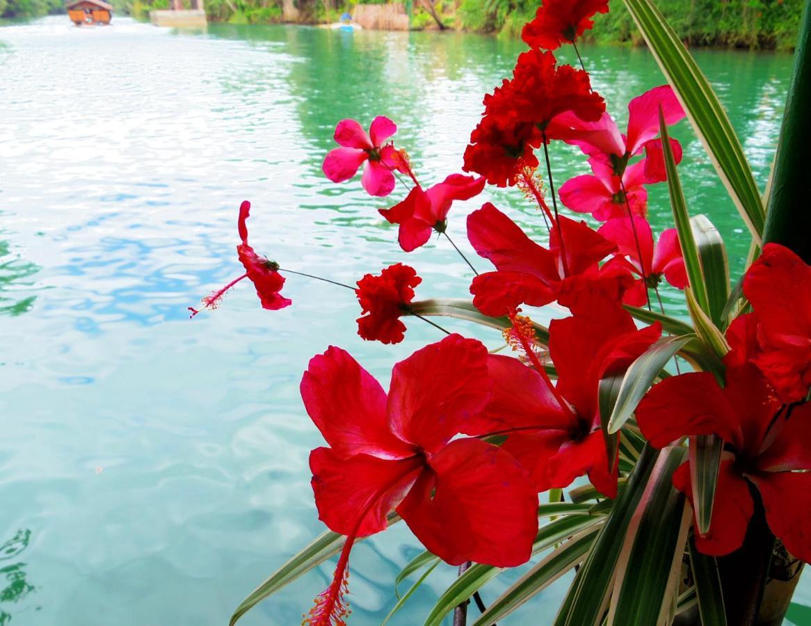 Chiisai Natsu Resort Bohol Kültér fotó