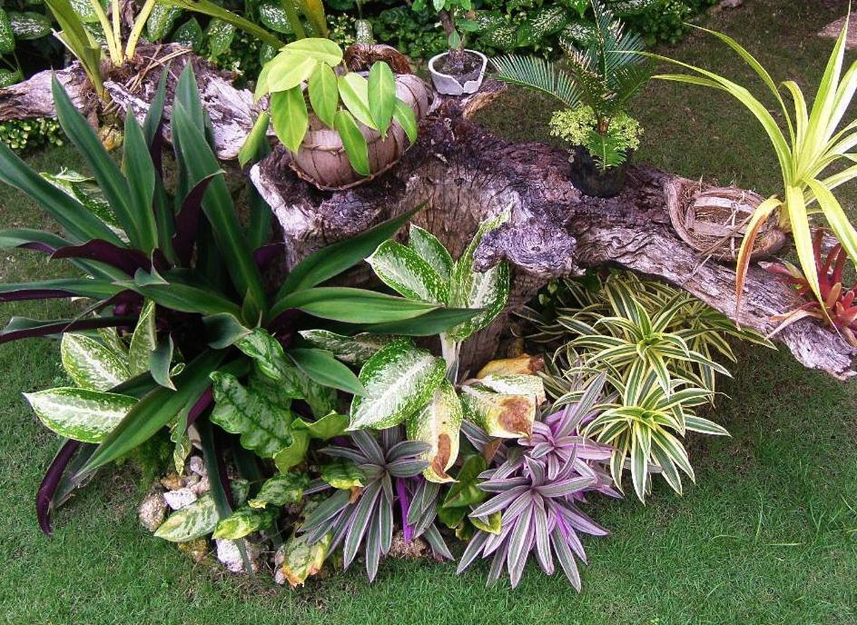 Chiisai Natsu Resort Bohol Kültér fotó