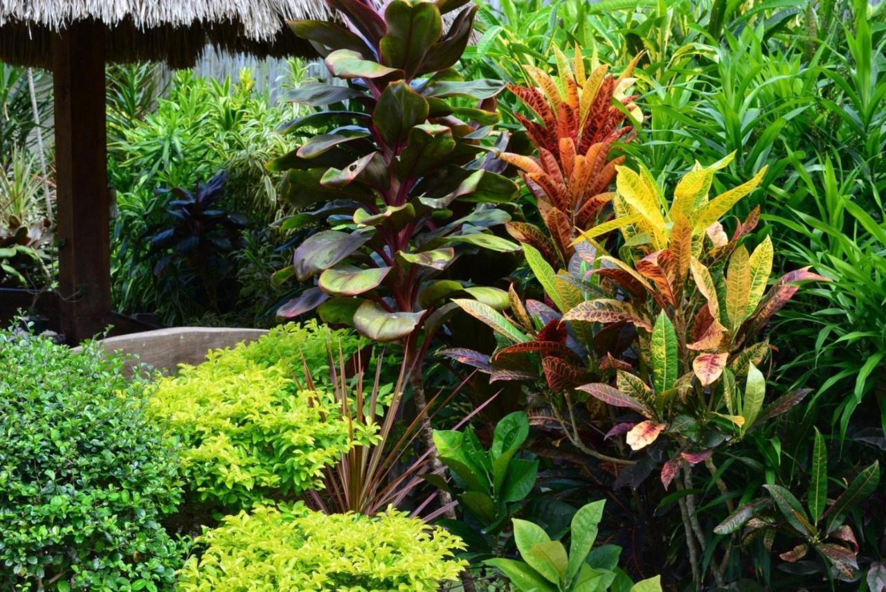 Chiisai Natsu Resort Bohol Kültér fotó